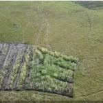 32 square kilometers of land transfer in Indonesia
