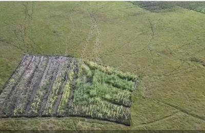 32 square kilometers of land transfer in Indonesia